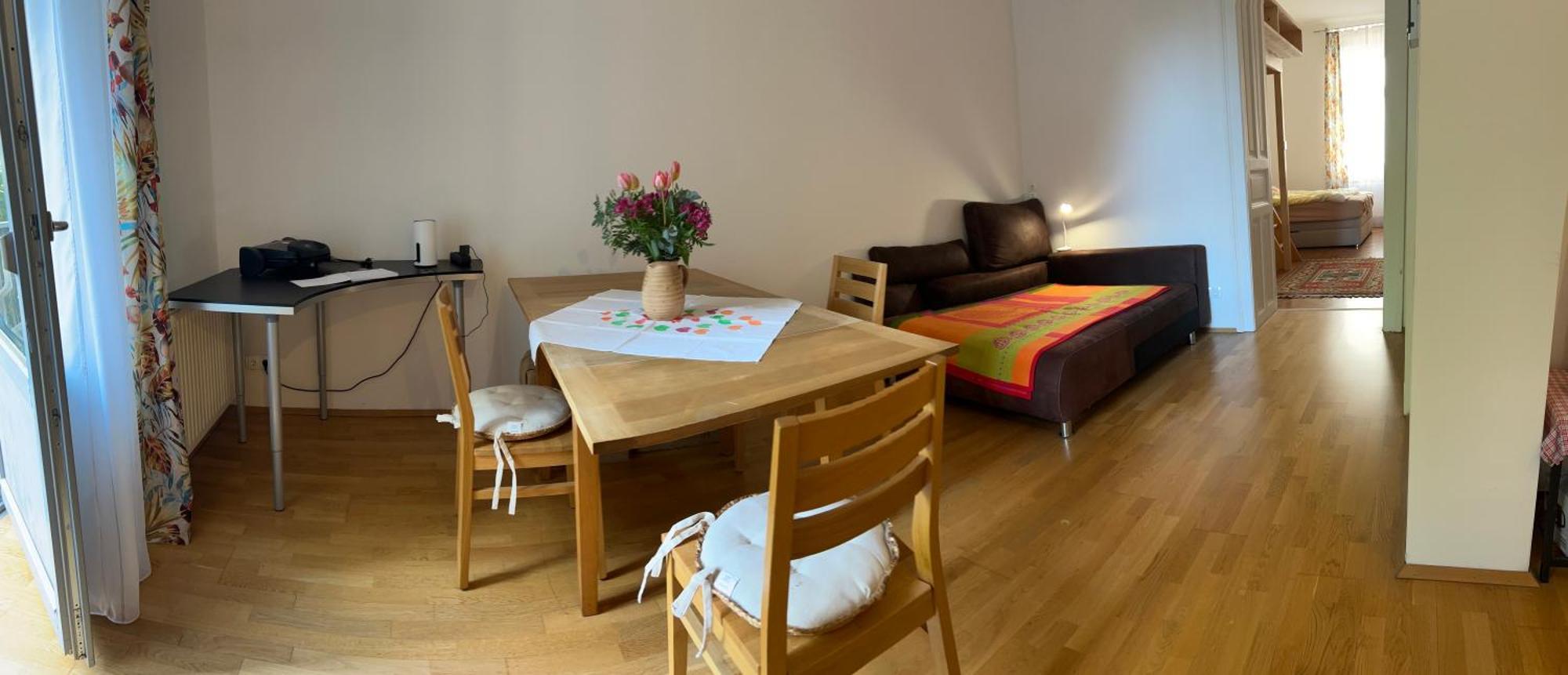 Urban Apartement, Internet, Veranda, Zentrum Graz Buitenkant foto